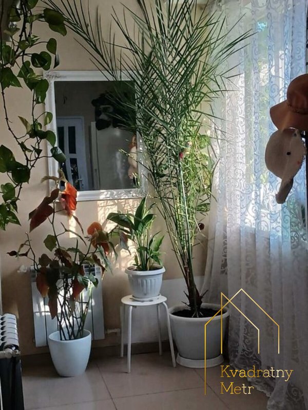 Лучшее предложение! 3-комн.квартира за 57000 $ — снимка 3